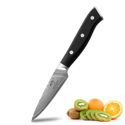 China Professional 3.5 Inch Disposable VG-10 Damascus Steel Paring Knife With Comfortable Ergonomic ABS Handle for sale