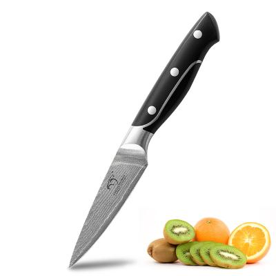 China Professional 3.5 Inch Disposable VG-10 Damascus Paring Knife With Comfortable Ergonomic ABS Handle for sale