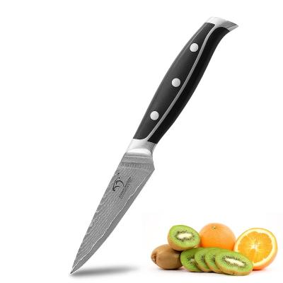 China Professional VG-10 Damascus Steel 3.5 Inch Disposable Damascus Paring Knife With Comfortable Ergonomic Black ABS Handle for sale