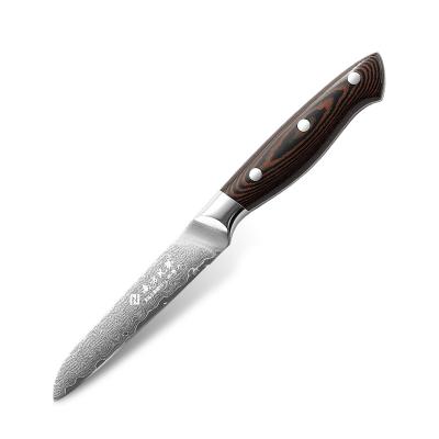 China Professional Disposable Damascus VG10 High Steel Grain Damascus Paring Knife 3.5 Inch Comfortable Ergonomic Wood Handle for sale