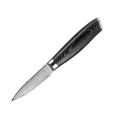 China Wholesale 3.5 Inch Amazon Hit Disposable Pakka Wood Handle Damascus Knife Steel Kitchen Paring Serving Knives for sale