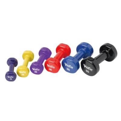 China High Quality Customized Vinyl Dumbbell Cast Dumbbell Neoprene Rubber Covered Dumbbell for sale