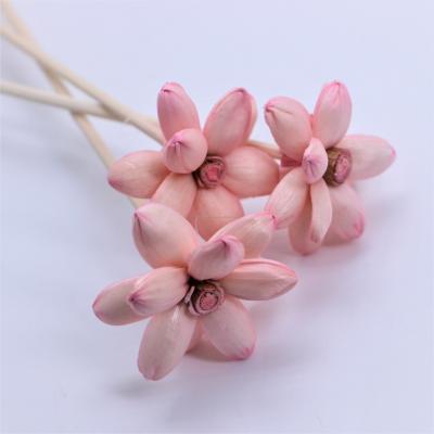 China Sola Wood YZ-RF000# Sola Flower Tubular Flower Aroma Essential Oil Fragrance Decorative Stick Diffuser Wooden Rattan for sale