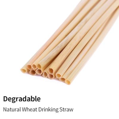 China Modern Disposable 100% Natural Biodegradable Wheat Compostable Wheat Straw Drinking Straws With Custom Box for sale