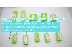 Lithium Ion Battery Pack