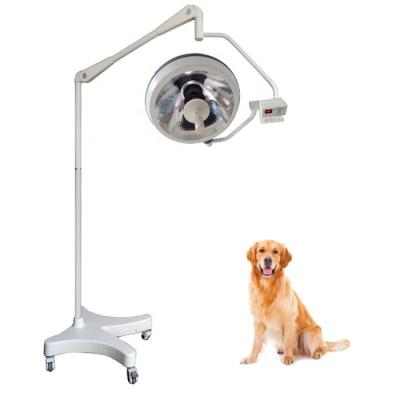 China Plastic Veterinary Approved Veterinary Instrument Global Reflection LED Light OT Lamp Operation Examination Examination Lamp for sale