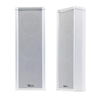 China IP-20 SK III PA System Wall Mount Active Indoor Speaker, IP Wall Column Time Proof POE SIP 20W Speaker with POE Power l power supply IP-20SK III for sale