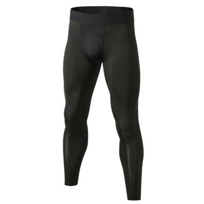 China Breathable Running Sports Pants Men Fitness Tight Training Mesh Quilting Quick Drying Stretch Pants for sale