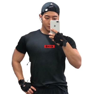 China Men Breathable Fitness Shorts Sleeve Comfortable Breathable Fashion Sports Running Training T-shirt Wholesale for sale