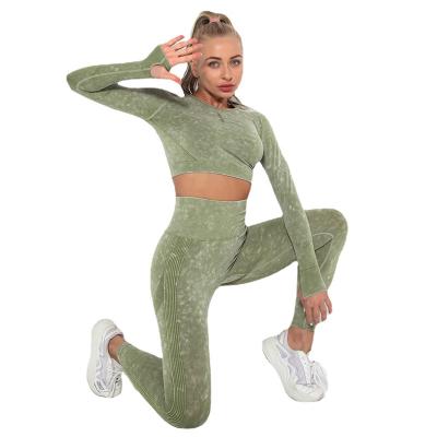 China 2021 New Wash Female Running Fitness Seamless Breathable 2 Piece Set Yoga Suit In Stock for sale