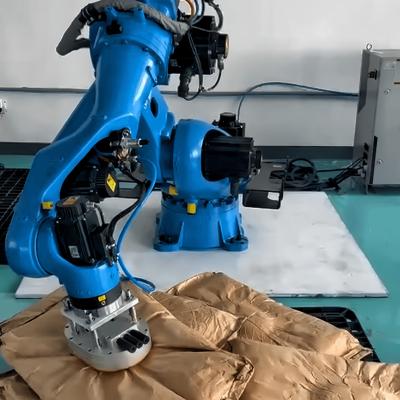 China Black color Industrial Robot Guidance For Automated Handling In Automation Production Line for sale