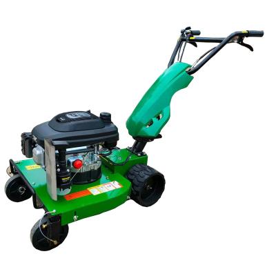 China 4-Stroke 9HP Hand Push Portable Lawn Mower Crawler Small Diesel Lawn Mower for sale