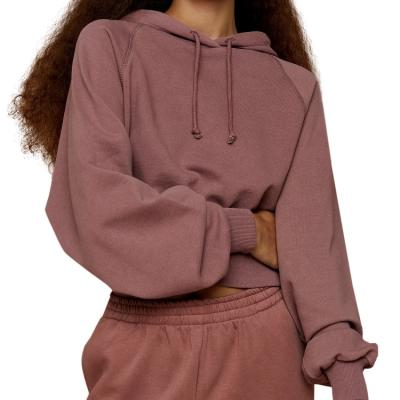 China Breathable Women Refine Fashion Casual Blank Hoodie Solid Color Sports Hoodie Winter Solid Color Sports Streetwear Cool Colorful Pullover for sale