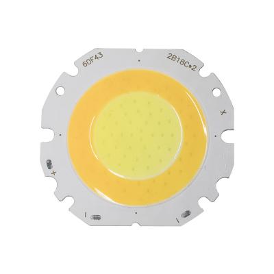 China INGAN Free Samples High CRI Flip Chip 6042 CUSTOMIZED Bicolor 10w DID 15w 18w High Power COB LED Chip for sale