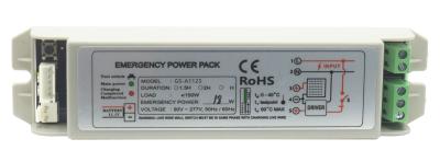 Cina 11-20W Max 1.25A Emergency Lighting Power Pack 2h Customized in vendita