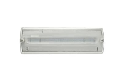 Chine IP65 1.5-3W Emergency LED Bulkhead Lights AC 220V ABS Material à vendre