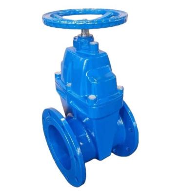 China Rubberized Wedge Flange Gate Valve Cast Iron Body for Durability and Reliability for sale