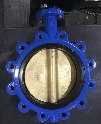 China Customized Cast Iron Lever Treated Wafer Lug Concentric Butterfly Valve for Standards for sale