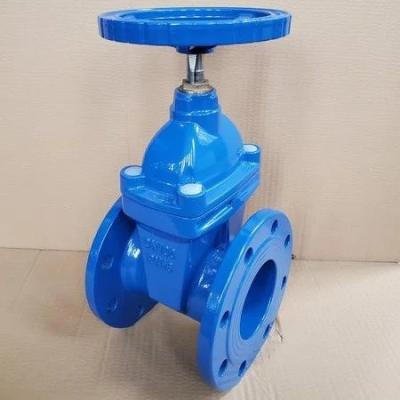 China Y Type Flange Gate Valve Soft Seal Sluice Valve for CI/DI/WCB/SS Structure for sale