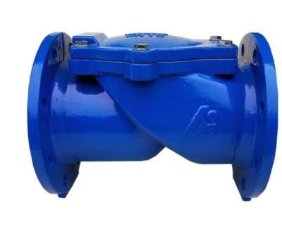 China Middeltemperatuur DN100 Pn16 Asine gietijzer rubber flapper checkvalve voor OEM ondersteuning Te koop