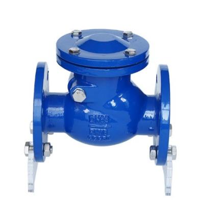 China CI/DI/WCB/SS DN250 PN16 Flange End Fire Swing Check Valve with Customizable Port Size for sale