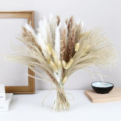 China Plastic Wedding Supplies Decor Flower Bouquet Small Artificial Dry Flowers Pampass Grass Decoration Pampass Grass for sale