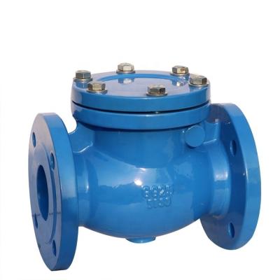 China General DIN DIN CAST IRON GG25 / GGG50 DUCTIAL SWING CHECK VALVE for sale