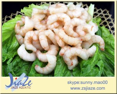 China Zhoushan FROZEN seafood raw frozen red shrimp for sale