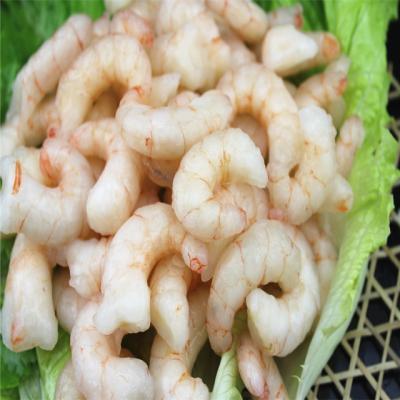 China FROZEN Seafood Peeled Frozen Raw Red Shrimp Shrimp For Export for sale