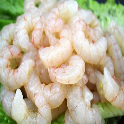 China Red Prawn 30/50 Frozen Seafood Frozen Prawns On Sale for sale