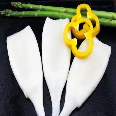 China NATURE fresh seafood llex Argentine squid tube U5 U7 U10 U20 for sale