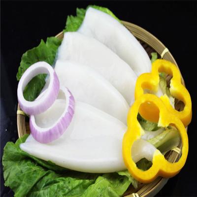 China NATURE Squid Tube Illex Frozen Squid for sale