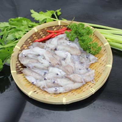 China NATURE newcomer for baby 2020 fresh frozen squid seafood for sale