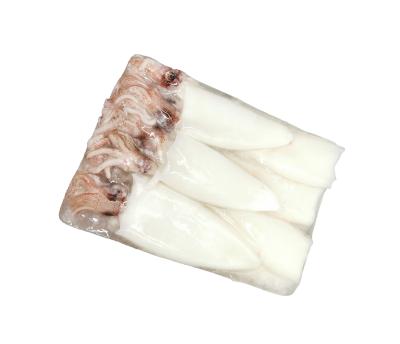 China NATURE BQF baby squid good prices frozen loligo squid on sale for sale