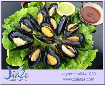 China MeatIQF Cooked Jellied Mussels or Half Shell Seafood for sale