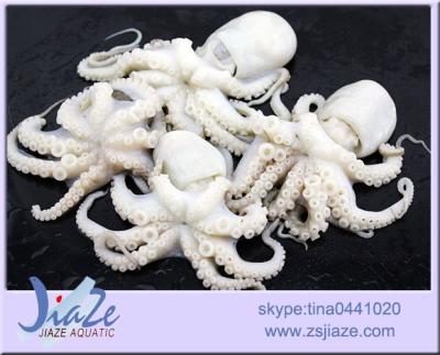 China high quality flower frozen octopus for sale Zhangyu for sale