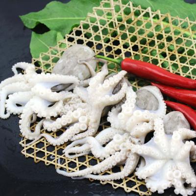 China FROZEN BABY OCTOPUS WITH flower COMPETITIVE PRICE for sale