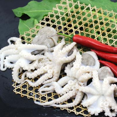 China Hot Sale Frozen Baby Octopus Flower Fresh Seafood Flower for sale