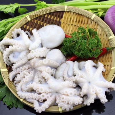 China Baby High Quality Whole Frozen Octopus Fresh Round Seafood Flower for sale