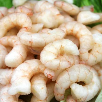 China Hot Selling Frozen Shrimp Alive Red Fresh Shrimp Pud Big Size for sale