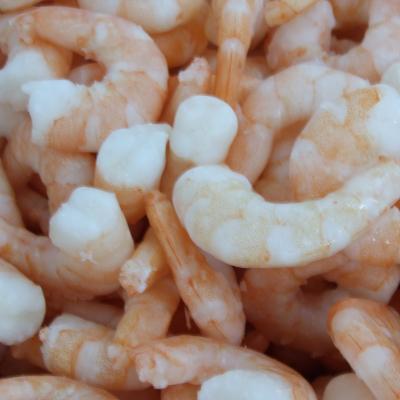 China Crystal Red Prawn Best Quality Live Delicious Frozen Seafood For Sale for sale