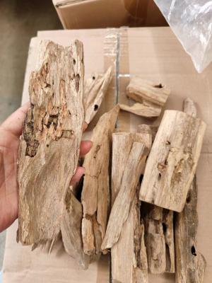 China Hainan Chinese Agarwood Incense Powder Logs naturais Brancos Fitas de Agarwood à venda