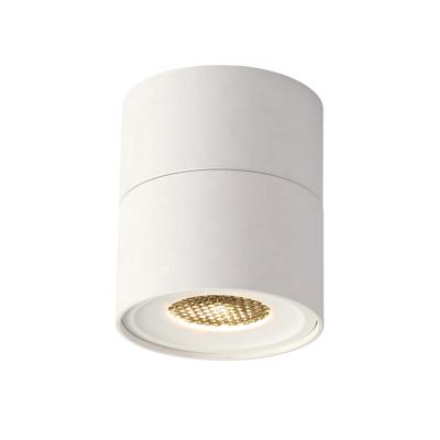 China Simple Design Surface Mounted 7W Kitchen Bathroom Bedroom Spot Light COB Downlight White Surface Mounted for sale