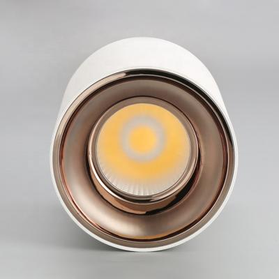 China Outdoor Kitchen Bathroom Bedroom Corridor Round LED COB Ceiling Anti-glare Surface Mounted Down Light for sale