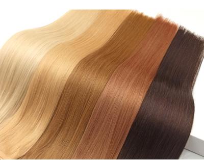 China 100% European Silky Straight Double Color 12a Blonde Straight Human Hair Remy Wave Hair Extensions Tape In Hair Extensions for sale