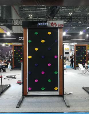 China Climber Trainning Indoors Rock climbing wall for kids for sale