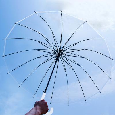 China Latest wholesale charming design POE auto open straight clear umbrella for sale