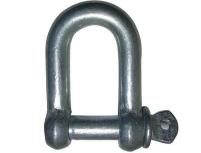 China EUROPEAN TYPE LARGE DEE SHACKLE for sale