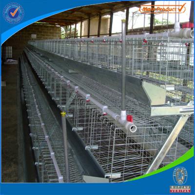 China Chicken Poultry Layer Chicken Cage for sale