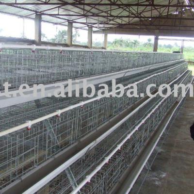 China Hot Dipped Galvanized Chicken 90 Birds Chicken Wire Cage for sale